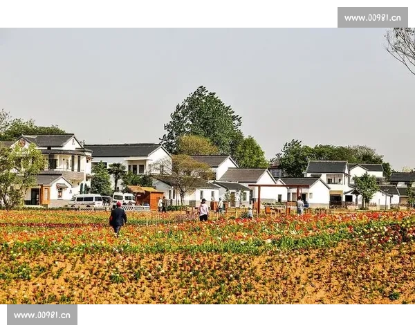 白砂镇生态旅游与文化传承融合发展助力乡村振兴新路径探索